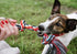 Fida Dog Rope Toys 4 Pack, Puppy Teething Sturdy Cotton Chew Tug Ropes Indoor/Outdoor, Exercise Interactive Tug o'war Toys Set for Boredom Small-M...