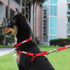 Pawtitas Solid Color Step in Dog Harness or Vest Harness Dog Training Walking of your Puppy Harness Medium Dog Harness Black Dog Harness...
