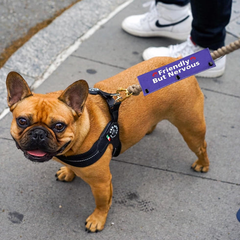 Nervous Dog Leash Sleeve Friendly But Nervous Leash Wrap Social Distancing Gift?Friendly But Nervous?...