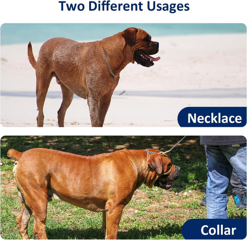 WePet Dog Chain Collar, Metal Slip Collar, Heavy Duty Choke Collar, for Training, Control, Durable Steel Cuban Links, Avail, Gold, L...