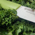 Kyocera Advanced Ceramic Revolution Series 4.5-inch Utility Knife, Green Handle, White Blade...