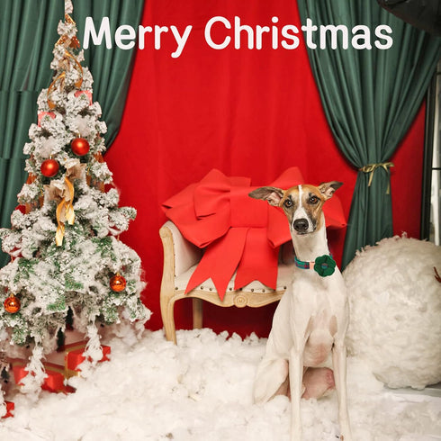 Unique style paws Dog Collar with Removable Felt Flower Tie Winter Christmas Green Plaid Pet Collar for Small Medium Large Girl Boy Dogs-S...