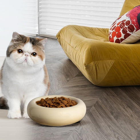 6.1 Inch Cat Bowls, 7 oz Ceramic Cat Food Bowl, Whisker Fatigue Relief Cat Bowl, Anti-Vomiting, Protect Spine, Perfect for Indoor Cats(Yellow)...
