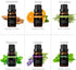 Essential Oils Set, ESSLUX Top 6 Aromatherapy Oils for Diffuser, Massage, Soap Candle Making Scents, Pure and Natural Essential Oils Kit - Lavende...