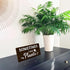 Sometimes I wet my plants Funny Garden Wooden Signs,Rustic Garage Home Farmhouse Wall Fence Decoration (Black)...