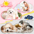 Pink Puppy Toys - 9 Pack Puppy Chew Toys for Teething, Interactive Dog Toys for Puppies, Small Dog Toys with Squeaky Dog Chew Toys, Treat Ball and...