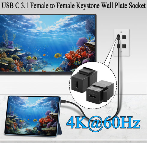 USB C Keystone Jack, Traovien USB 3.1 Type-C Connector Keystone Insert Female to Female, Coupler Type for Wall Plate Outlet Panel-Black(1pcs)...