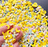 EHOPE 50g Fake Sprinkles Resin Sprinkles Fake Candy Sprinkles Clay Sprinkles Polymer Sprinkles Polymer Clay Slices for Nail Art DIY Crafts Cake Ph...