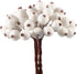 Tatuo 400 Pieces Artificial Frosted Holly Berries Fake 12 mm Mini Fruit Berry Flower Fall Decor (White)(White)...