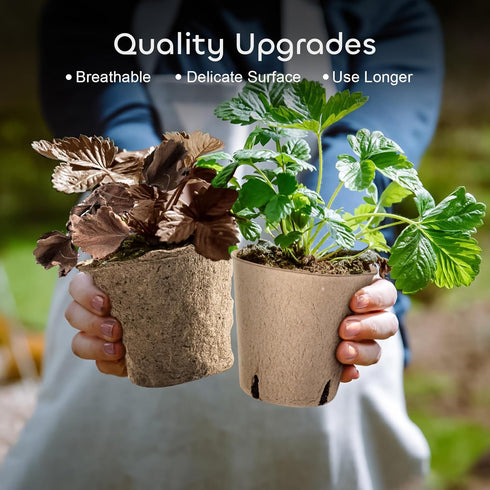 GROWNEER 50 Packs 3 Inch Peat Pots Plant Starters for Seedling with 15 Pcs Plant Labels, Biodegradable Herb Seed Starter Pots Kits, Garden Germina...