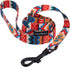 CollarDirect Nylon Dog Leash 5ft Tribal Pattern Durable Walking Pet Leashes for Dogs Small Medium Large Puppy (Pattern 3, L, New)...