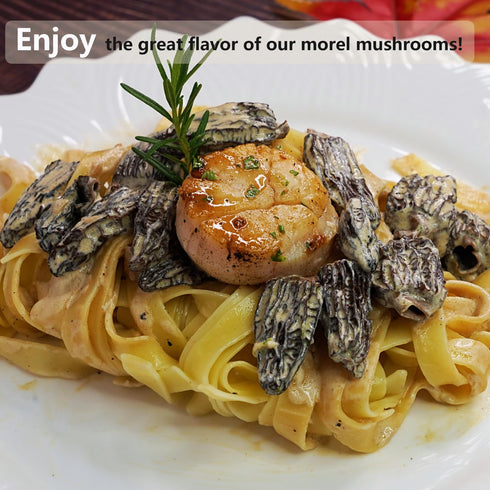 VIGOROUS MOUNTAINS Dried Morel Mushrooms (1 Ounce)...