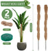 2 Pack 25 Inch Coco Coir Moss Poles for Climbing Indoor Plants - Handmade Plant Support for Creepers to Grow Upwards...