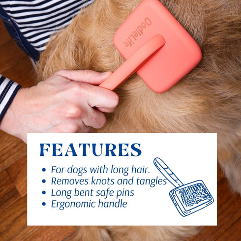 Dog Slicker Brush for Grooming Poodle Brush for Shedding Medium & Long Haired Dogs Brush - Poodle and Goldendoodle Long Pin Pet Hair Brush for Doo...