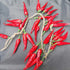 5pack Simulation Artificial Lifelike Fake Vegetable Artificial Garlic Red Pepper Fake Vegetables Onion Hanging Rope Home Decor Photography Props...