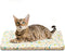 Magic Dog Random Color X-Small Dog Bed Dog Crate Bed Crate Pad, Super Soft Pancake Style Dog Bed Mat Kennel Pad for Dogs, Ideal for Pet Beds Machi...