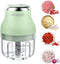 Electric Garlic Chopper, 250ML Mini Portable Veggie Chopper, Garlic Grinder Masher Onion Chopper, Blender to Vegetable, Wireless Food Processor fo...