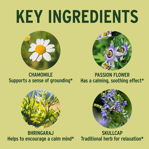 Banyan Botanicals Tranquil Mind – Organic Supplement with Guduchi, Gotu Kola & Skullcap – Supports Occasional Anxiousness & Promotes a Sense of Ca...