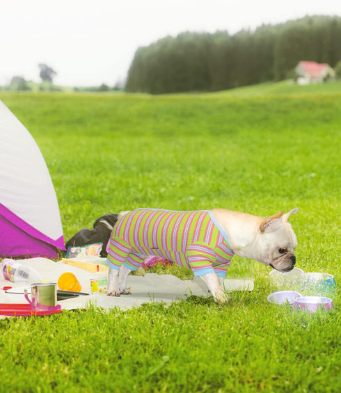 TONY HOBY Dog Pajamas, Male Dog Pajamas with Blue Stripe, Dog 4 Legged Pajamas Pet Clothes for Small Medium Size Dog (Green&Blue, Boy, XS)...