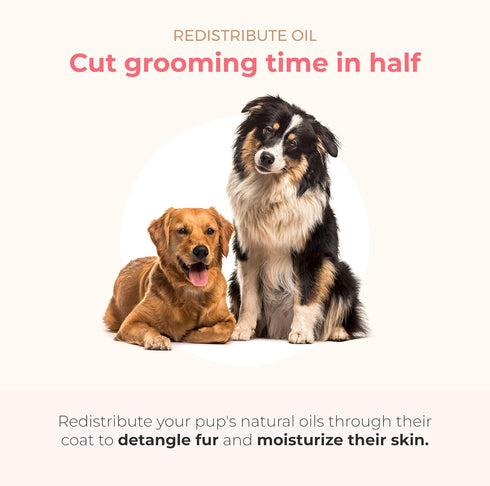 PAWFUME 2-in-1 Pet Brush – Dog Hair Brush – Cat Hair Brush – Dog Grooming Brush – Cat Grooming Brush – Soft Dog Brush for Long Haired Dogs – Soft ...