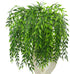 CATTREE Artificial Weeping Willow, Plastic Plants Greenery Leaves Fake Hanging Vine Faux Ivy Garland UV Resistant for Indoor Outdoor Garden Basket...