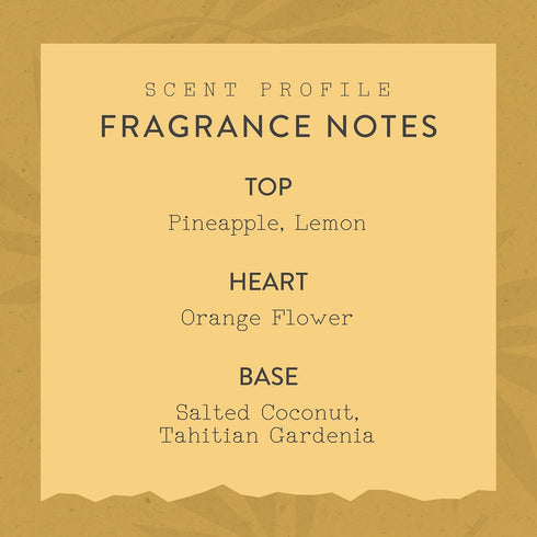 Lazy Summer Fragrance Mist - Beautiful and Light Spray Fragrance from Nature - Vegan and Non-Toxic Mist Featuring Notes of Salted Coconut and Oran...