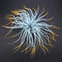 Garosa Aquarium Plastic Grass Artificial Green Lifelike Underwater Plants Luminous Aquarium Decor Fish Decoration Ornament (Orange),Fish Decoratio...