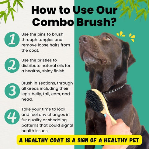 Dog Brush for Shedding - Cat Brush for Shedding - Double Sided Bamboo Brush Ball Pin and Soft Nylon Bristle - Dog and Cat Grooming Brush (Small)...