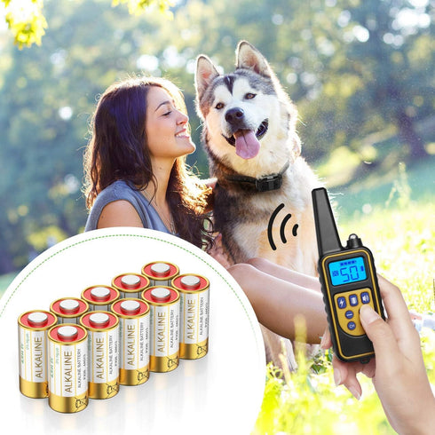 EBL 6 Volt Battery 4LR44 Dog Collar Batteries (10 Pack) 6V Alkaline Batteries 476A / PX28A / A544 / K28A / L1325...
