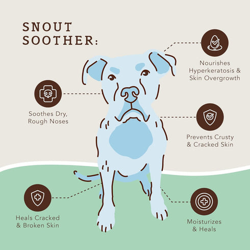 Natural Dog Company Snout Soother - Dog Nose Balm, Travel Stick, 0.15 oz., Dog Balm for Paws and Nose, Moisturizes & Soothes Dry Cracked Noses, Pl...