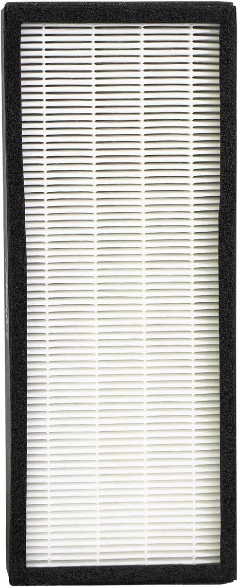 Hunter F1702HE True HEPA Replacement Air Purifier Filter for Models HT1702, 10200...