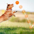 SHARLOVY Squeaky Balls for Dogs Small, Fetch Balls for Dogs Rubber 3 Pack Bright Colors TPR Puppy Toys Dog Toy Balls Dog Squeaky Toys Spike Ball D...