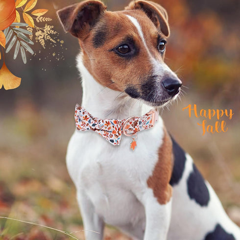 Faygarsle Bow Tie Halloween Fall Dog Collar for Small Medium Large Dogs Fashionable Cute Collars for Male Female Dog Cotton Collar with Metal Buck...