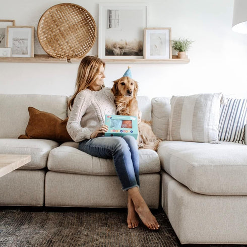 ZippyPaws Birthday Box - Birthday Gift for Dogs, Squeaky Toy Set, Colorful Squeaky Dog and Puppy Toys, and Precious Doggy Plushies - 3 Toys...