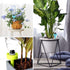 Plant Self Watering Spike,YIMIKE Plastic Self Watering Device with Slow Release Control Valve Plant Watering System for Vacation and Trip,Easy to ...