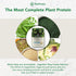 PlantFusion Complete Vegan Protein Powder Sample Packets - Plant Based Protein Powder Packets to-Go with BCAAs and Pea Protein - Keto, Gluten Free...