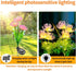 2 Packs of LED Solar Flower Decorative Lights, 2-Mode Outdoor Courtyard Atmosphere Lights and Garden Landscape Lights, Wireless Waterproof from Du...