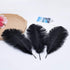 12pcs Natural Black Ostrich Feathers 12-14inch (30-35cm) for Wedding Party Centerpieces?Flower Arrangement and Home Decoration....