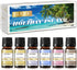Holiday Island Fragrance Oil Gift Set of 6 Summer Fragrance Essential Oils Set for Humidifier, Aromarathepy - 10ml - Pineapple, Coconut, Sea Breez...