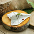 Top Collection Miniature Fairy Garden and Terrarium Sealed with Love Frog on Paper Plane Statue...
