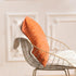 FY FIBER HOUSE Pack of 2 Velvet Throw Pillow Covers Decorative Square Pillowcase Soft Solid Cushion Case for Sofa/Couch Use, 16 x 16 Inch Orange...