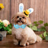 Dog Collar Easter Gift with Bow Tie, Rabbit Egg male Dog Collar with Safety Metal Buckle Adjustable Puppy Collars for Small Medium Large Boy & Gir...