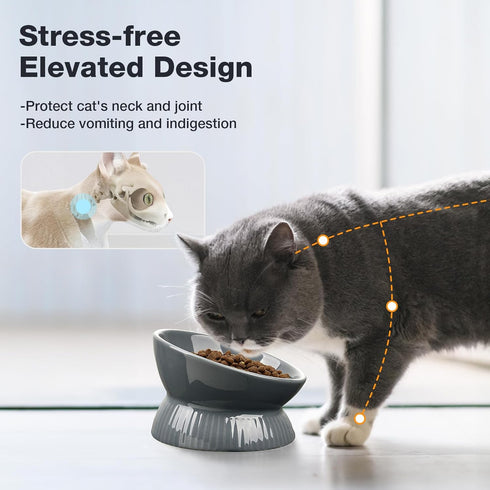 Elevated Cat Bowl, Ceramic Tilted Cat Food Bowl, Anti Vomiting, Stress Free on Neck and Spine, Spill-Proof, Anti-Tipping, Dishwasher Safe, Raised ...