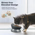 Elevated Cat Bowl, Ceramic Tilted Cat Food Bowl, Anti Vomiting, Stress Free on Neck and Spine, Spill-Proof, Anti-Tipping, Dishwasher Safe, Raised ...