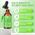 Sea Moss Liquid Drops - Organic Irish Sea Moss Gel with Burdock Root, Vitamin C, B12, 3000mg Seamoss Gel Supplement for Immune, Joint, Detox Clean...