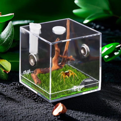 9 Pcs Tarantula Micro Water Bowl, Mini Resin Dish Tiny Bowl for Spider Tarantula Millipede Insect (Small: 1" D, 0.39" H)...