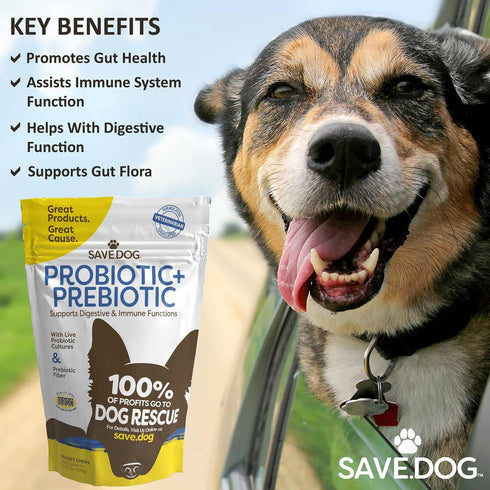 Probiotics for Dogs – Dog Probiotic Chews for Dogs with Clinically-Studied BC30 Probiotic + Prebiotic for Digestive & Immune Health - Dog Suppleme...