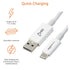 Amazon Basics USB-C to USB-A 3.1 Gen 2 Adapter Fast Charger Cable, 10Gbps High-Speed, USB-IF Certified, for Apple iPhone 15, iPad, Samsung Galaxy,...