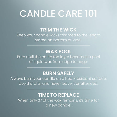 Yankee Candle Large Tumbler Scented Candle with up to 80 Hour Burn Time, Premium Plant Wax Blend for Consistent Burn, 20 oz Tumbler Candle with Ro...