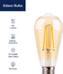 FLSNT 40W Equivalent LED Edison Bulbs with Amber Glass, 4W ST19 Dimmable Vintage LED Light Bulbs for Pendant Light, 90+ High CRI, 2200K Warm White...